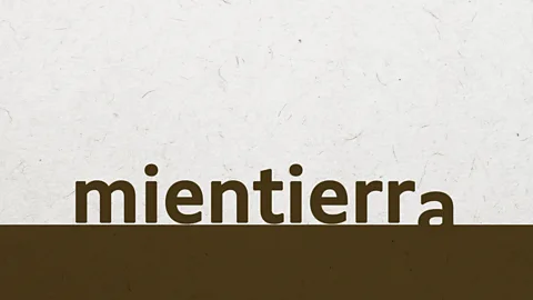 Javier Hirschfeld The term 'mientierra', derived from Spanish, describes the way that ground cannot always be trusted or relied upon – it applies to ideas or systems too (Credit: Javier Hirschfeld)