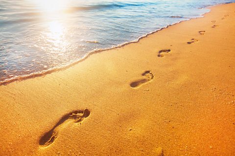 Footprints in the sand.