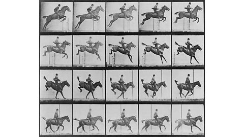 A series of black and white photographs of a horse and rider jumping a hurdle