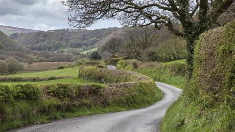 Photos by R A Kearton The valley's undulating lanes are hemmed in by towering hedgerows (Credit: Photos by R A Kearton)