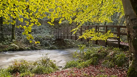 Birdsonline/Getty Images Like the valley itself, the River Gwaun is a relic of the last Ice Age (Credit: Birdsonline/Getty Images)