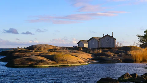 Rasmus Holm In the Åland Islands, population growth of seals far outstrips the quotas given for hunters (Credit: Rasmus Holm)