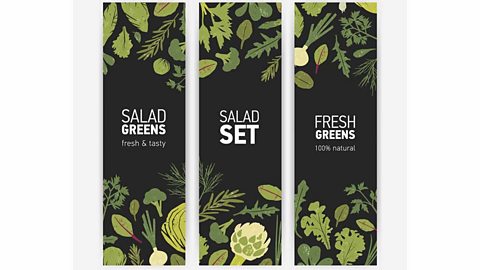 Packaging templates with fresh tasty salad leaves and spice herbs on black background