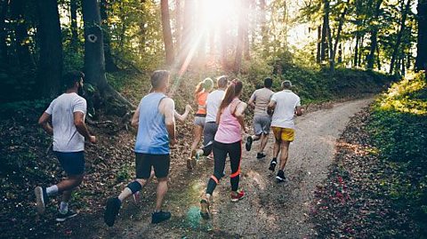 An image of seven people running along a woodland path.