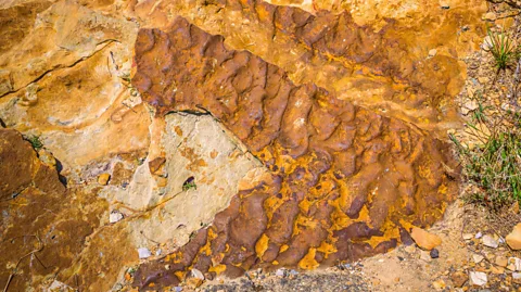 Alamy The Western Interior Seaway completely submerged several US states, including Colorado and Wyoming. Ancient ripples in the sand can still be seen in rocks today (Credit: Alamy)