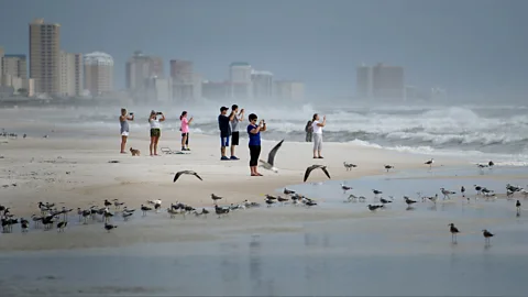 Brendan Smialowski/AFPGetty Images Forecasting of extreme weather events such as hurricanes has improved dramatically in recent years (Credit: Brendan Smialowski/AFPGetty Images)