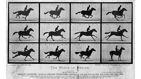 Getty Images Animals have been at the centre of cinema ever since the first technology created Eadweard Muybridge's Horse in Motion (1878) (Credit: Getty Images)