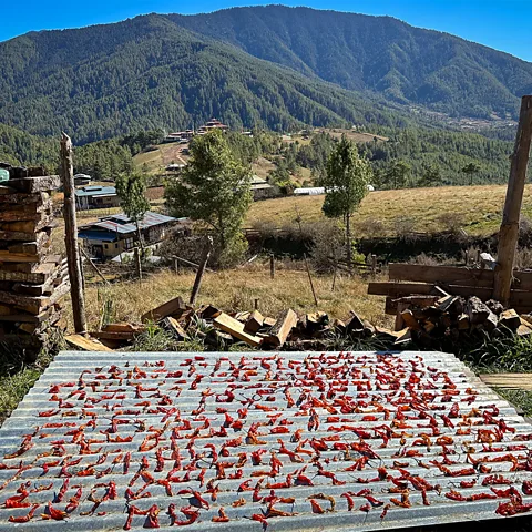 Nicole Melancon Bhutanese dry chillies on rooftops, hanging from windows and across the ground (Credit: Nicole Melancon)