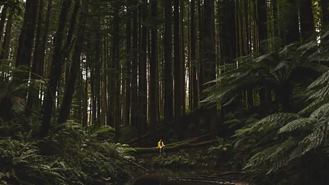 EyeEM/Alamy Why we should record travel moments (Credit: EyeEM/Alamy)