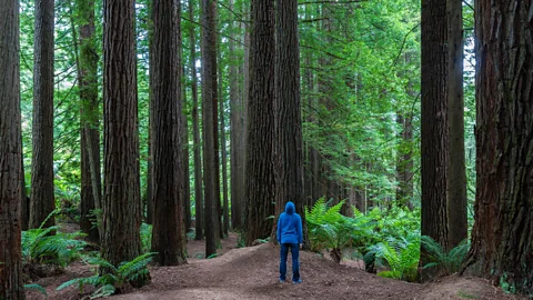 Yuen Man Cheung/Alamy By paying attention to the sounds around us, we can become better listeners and travellers (Credit: Yuen Man Cheung/Alamy)