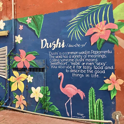 Sarah Harvey Dushi is a uniquely Curacaoan philosophy of recognising the sweetness in all things (Credit: Sarah Harvey)