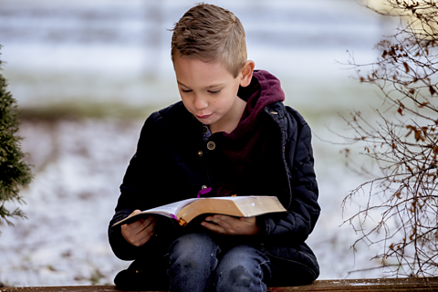 A boy reads the Bible.