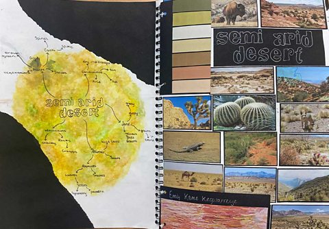 Semi arid desert- A mind map, colour palette and photographs on a desert theme