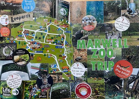 Collage with the title Marwell Zoo trip including a map of the zoo and photos of animals