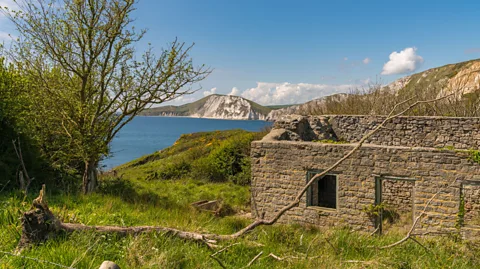 BerndBrueggemann/Getty Images The lack of development around Imber and Tyneham means that wildlife has been able to thrive (Credit: BerndBrueggemann/Getty Images)
