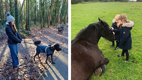 A teen on a walk with their dog and two kids patting the head of a horse