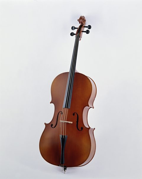 A cello against a white background