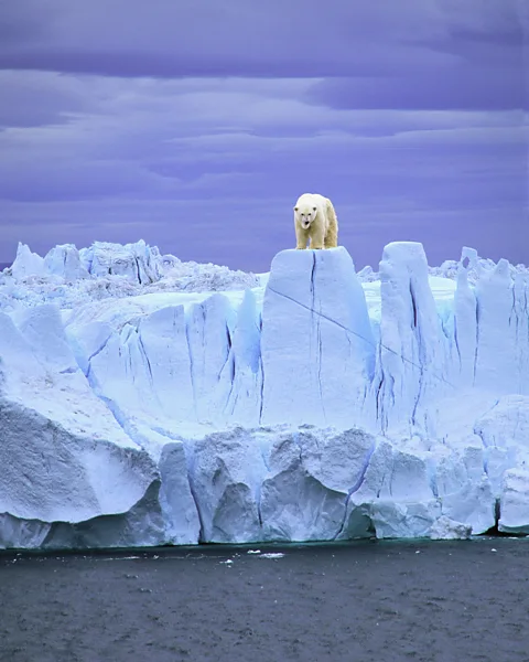 Bruce Burkhardt/Getty Images The vastness of nature in Greenland offers visitors a shift in perspective (Credit: Bruce Burkhardt/Getty Images)