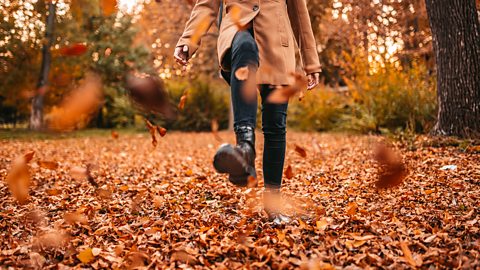 Young Woman Kicking A Heap Of Leaves