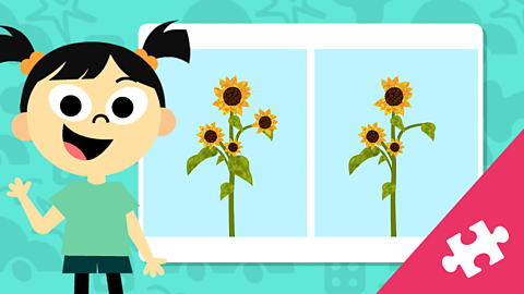PLAY: Sunflower collage spot the difference