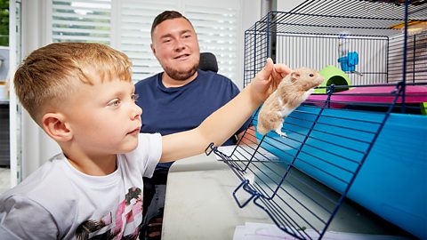 Stevie looking on as Rowan puts their pet hamster back in its cage.