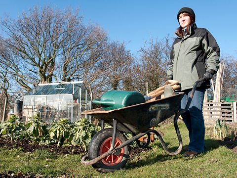 A woman with a garden wheelbarrow