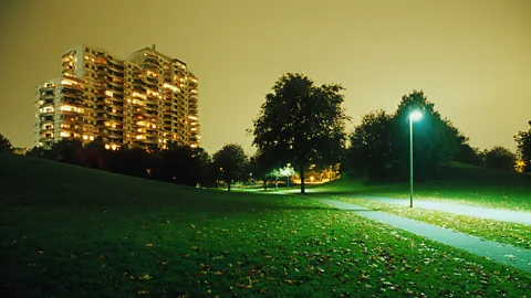 Getty Images Trees bombarded by artificial lights retain their leaves longer than normal (Credit: Getty Images)