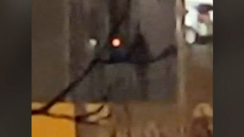 Un tiroteo en un templo de los Testigos de Jehová deja 7 muertos en la