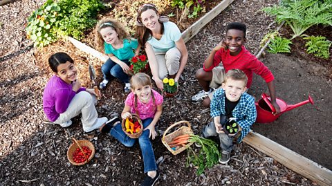 Six children sitting on a vegetable patch and looking up at the camera.