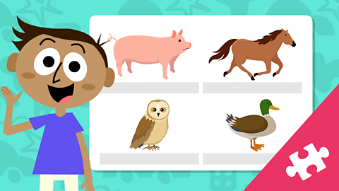 PLAY: Animal sounds matching game