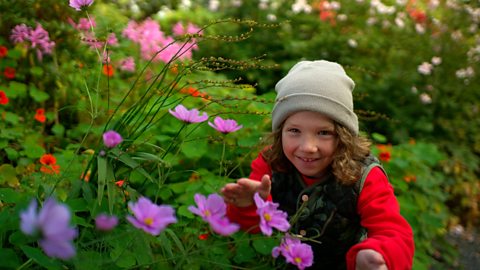 KS1: Plants