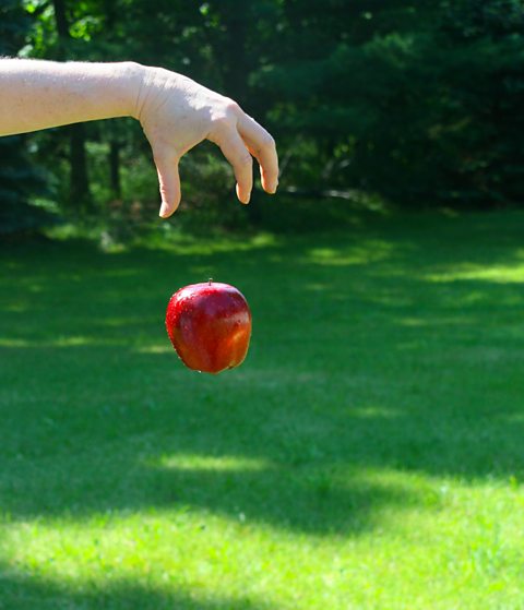 An apple falling to the ground.