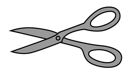 A pair of scissors