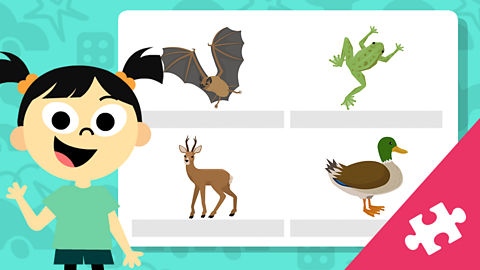 PLAY: Where do these animals live?