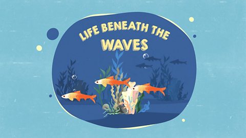 Life beneath the waves