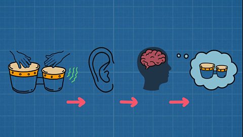 A diagram explaining how sounds travel to our ears as vibrations.