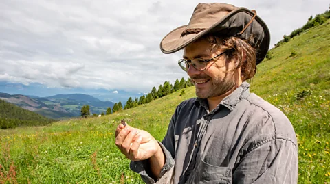 Eurac Research/Martina Jaider Ecologist Elia Guariento has studied how farming in South Tyrol affects butterfly populations (Credit: Eurac Research/Martina Jaider)