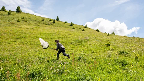 Eurac Research/Martina Jaider Humans and butterflies have lived in delicate balance in the Alps for generations (Credit: Eurac Research/Martina Jaider)