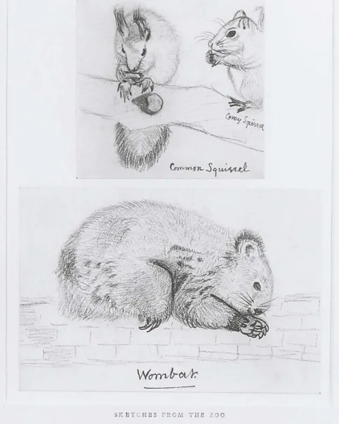 Alamy A wombat in Three Animals Studies by Christina Rossetti, one of the many exotic pets kept by Dante Gabriel Rossetti in his Cheyne Walk residence (Credit: Alamy)