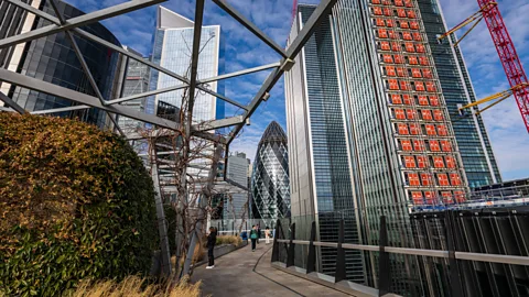 Bella Falk The Garden at 120 is the City of London's largest public rooftop space (Credit: Bella Falk)