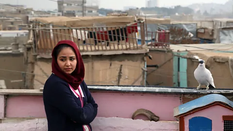 Alamy Sahraa Karimi's 2019 drama Hava, Maryam, Ayesha is among the great recent films by Afghan filmmakers that deserve wider distribution (Credit: Alamy)