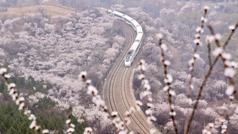 Getty Images Flying less and using other transport options can make a big dent in individuals' carbon emissions (Credit: Getty Images)