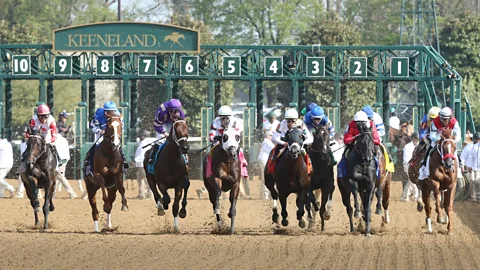 Keeneland Visitors can watch thoroughbreds train for free at Keeneland each morning (Credit: Keeneland)