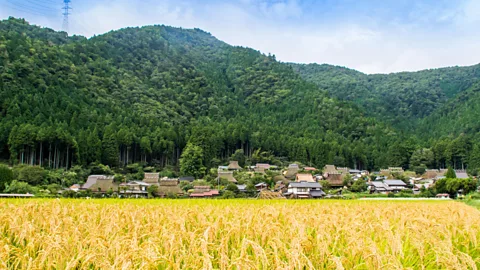 Kyoto Miyama Tourism Association Cut off from the rest of the country, Miyama residents traditionally relied on agriculture and forestry (Credit: Kyoto Miyama Tourism Association)