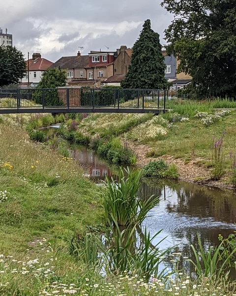 Enfield Council Before its restoration, Turkey Brook was confined in a steep-sided concrete channel along the edge of Albany Park in north London (Credit: Enfield Council)