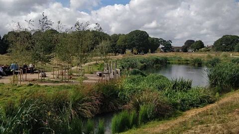 Enfield Council Firs Farm Wetlands stores 30,000 cubic metres of flood water, helping to protect local properties from flooding (Credit: Enfield Council)