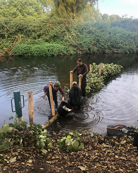 Esther Adelman Woody debris placed around a fallen tree in the Old Lea creates complexity of flow and increases ecological habitats (Credit: Esther Adelman)