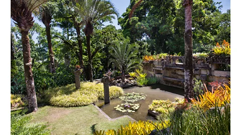 Getty Images Sítio Roberto Burle Marx in Rio de Janeiro is now preserved as a Unesco World Heritage site (Credit: Getty Images)