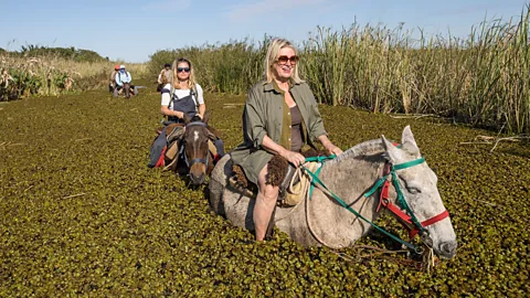 Daniel Allen Nature-based tourism initiatives enable the park to pump proceeds back into its rewilding efforts and local communities (Credit: Daniel Allen)