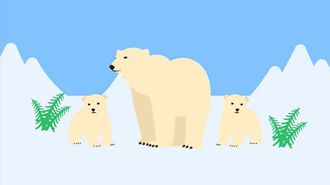 Illustration showing an example of tundra.